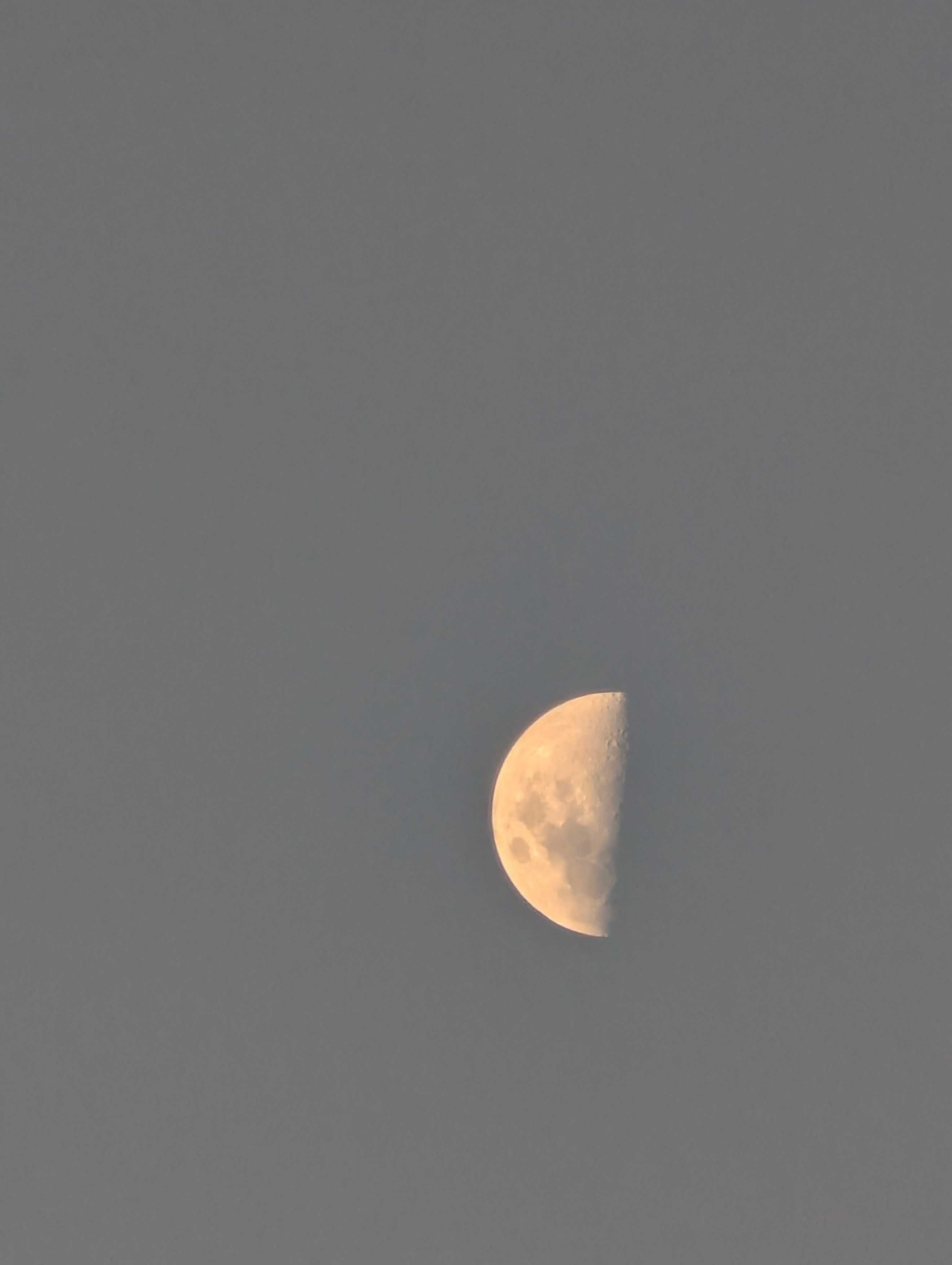 The Moon over Highton, Australia — first quarter, Lunar Day 8
