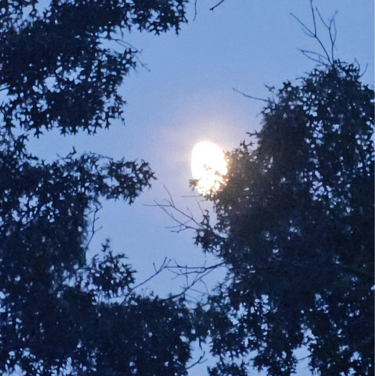 The Moon over Blairsville, United States — waxing gibbous, Lunar Day 11