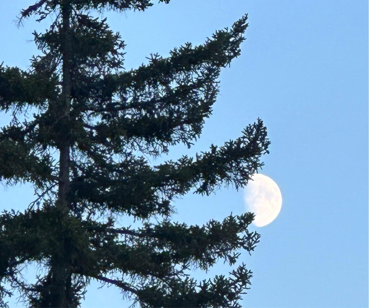 The Moon over South Algonquin, Canada — waxing gibbous, Lunar Day 11