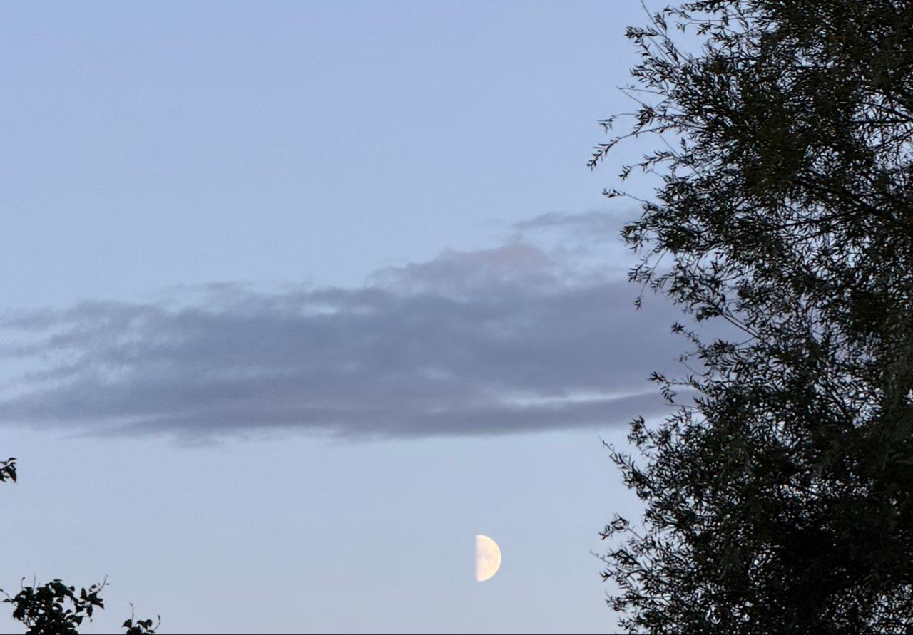 The Moon over Castleford, United Kingdom — first quarter, Lunar Day 9