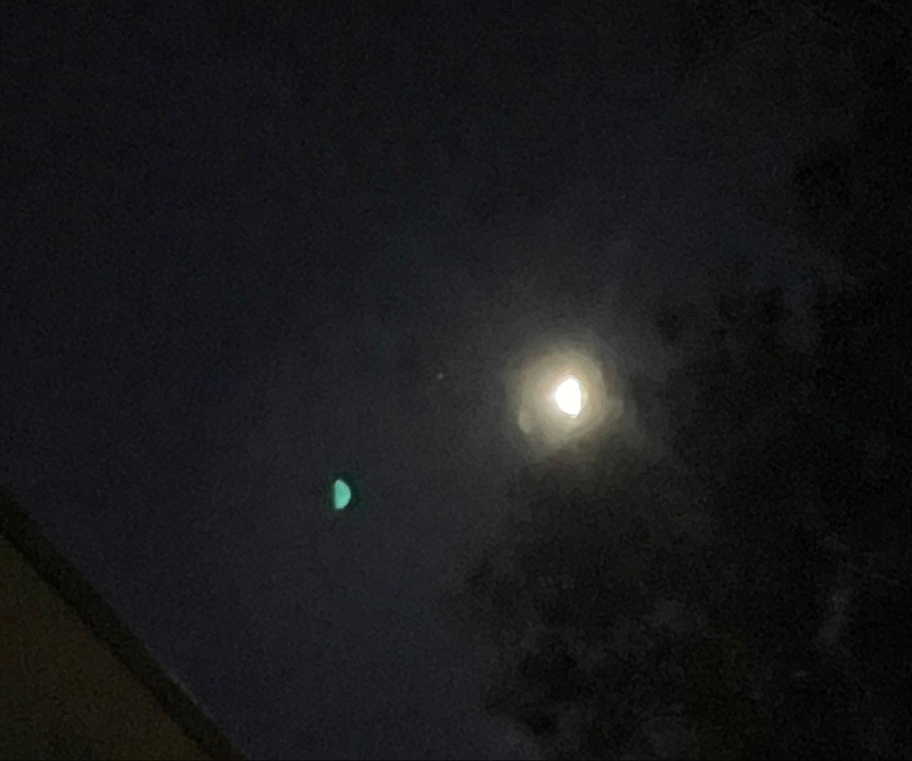 The Moon over Bray Park, Australia — first quarter, Lunar Day 8