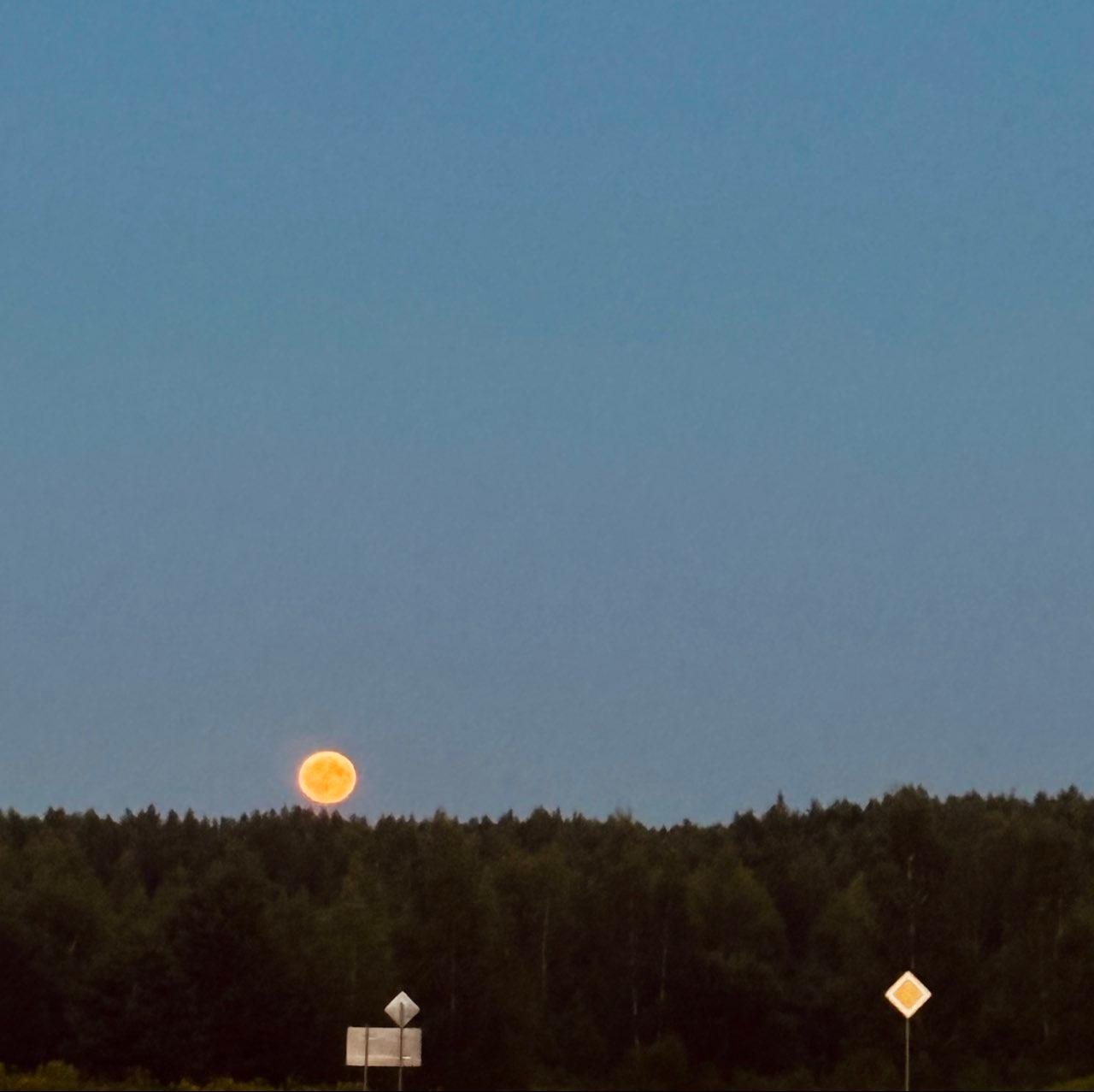 The Moon over Kolodishchanskiy, Belarus — full moon, Lunar Day 16