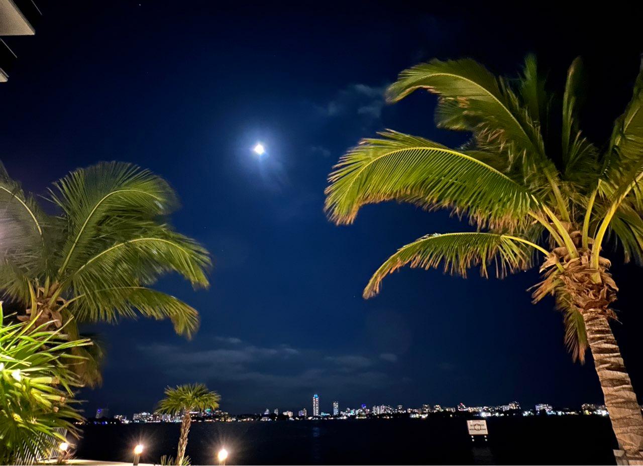 The Moon over Miami, Estados Unidos — full moon, Lunar Day 15