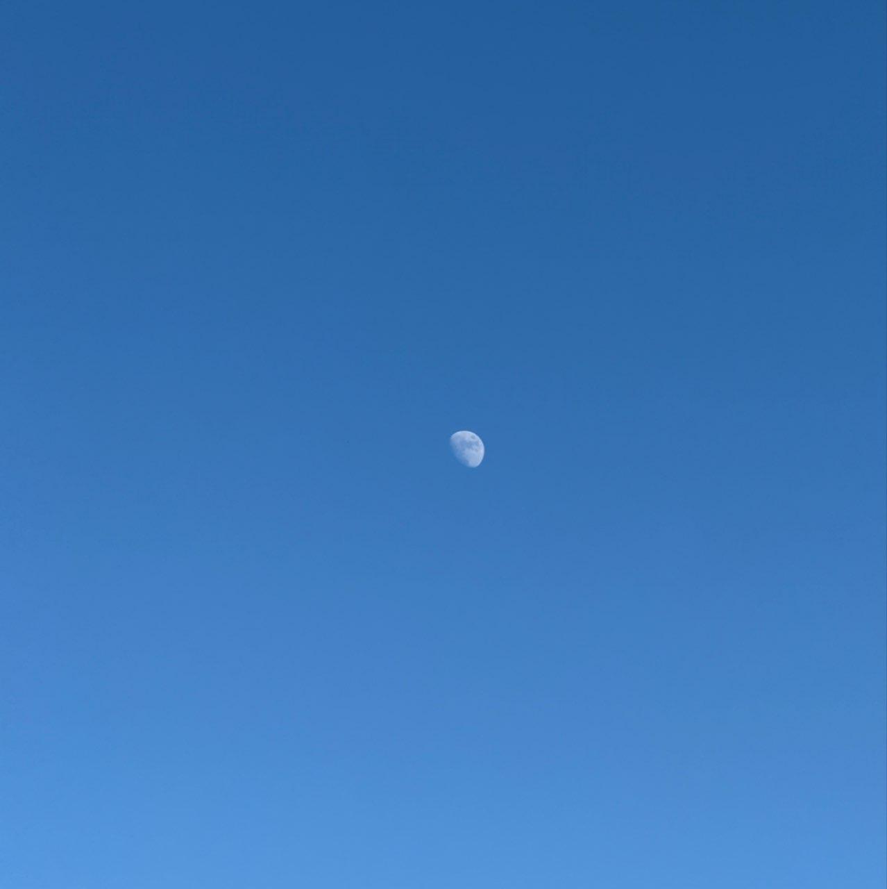 The Moon over Boston, United States — waxing gibbous, Lunar Day 11