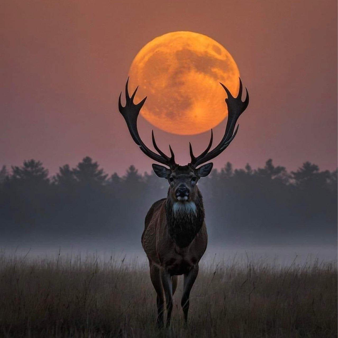 The Moon over Madrid, España — full moon, Lunar Day 17