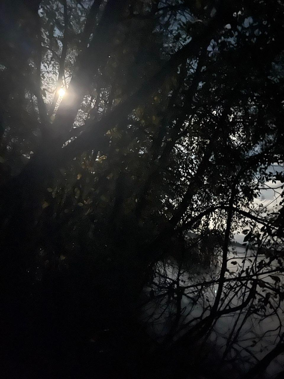 The Moon over Heidesee, Deutschland — waning gibbous, Lunar Day 18