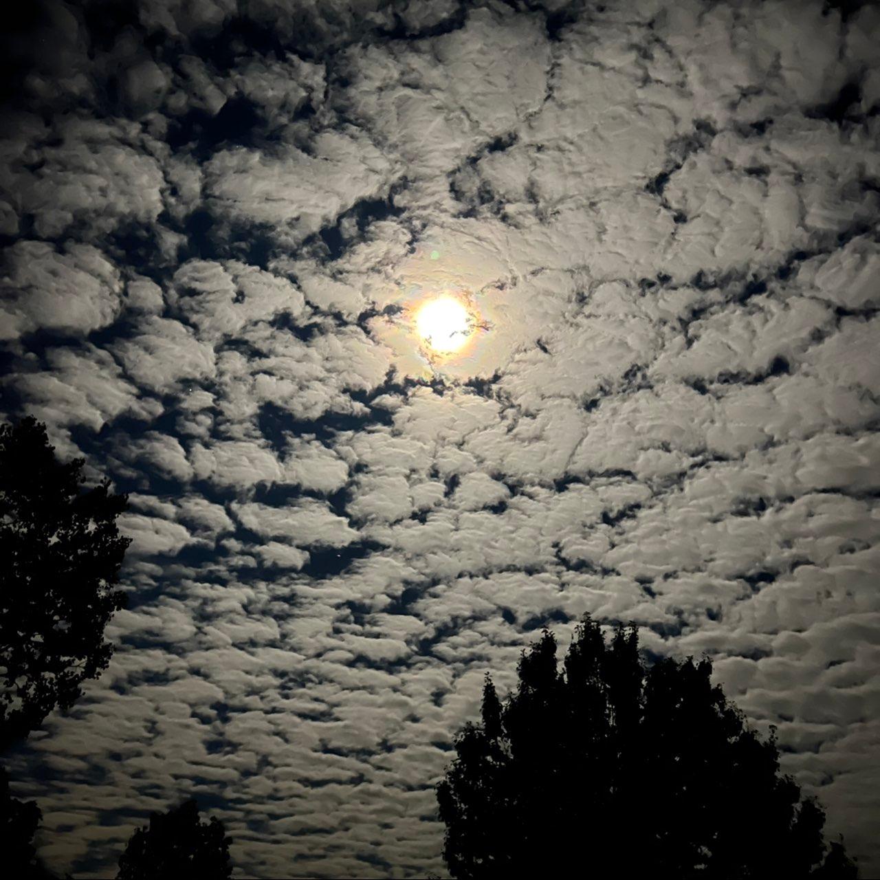 The Moon over Diamond, United States — full moon, Lunar Day 16