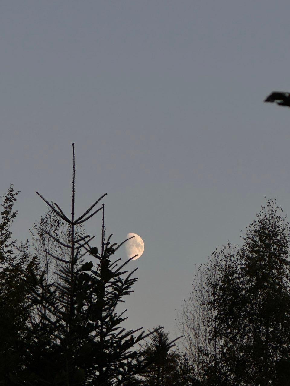 The Moon over Bruckmühl, Germany — full moon, Lunar Day 15