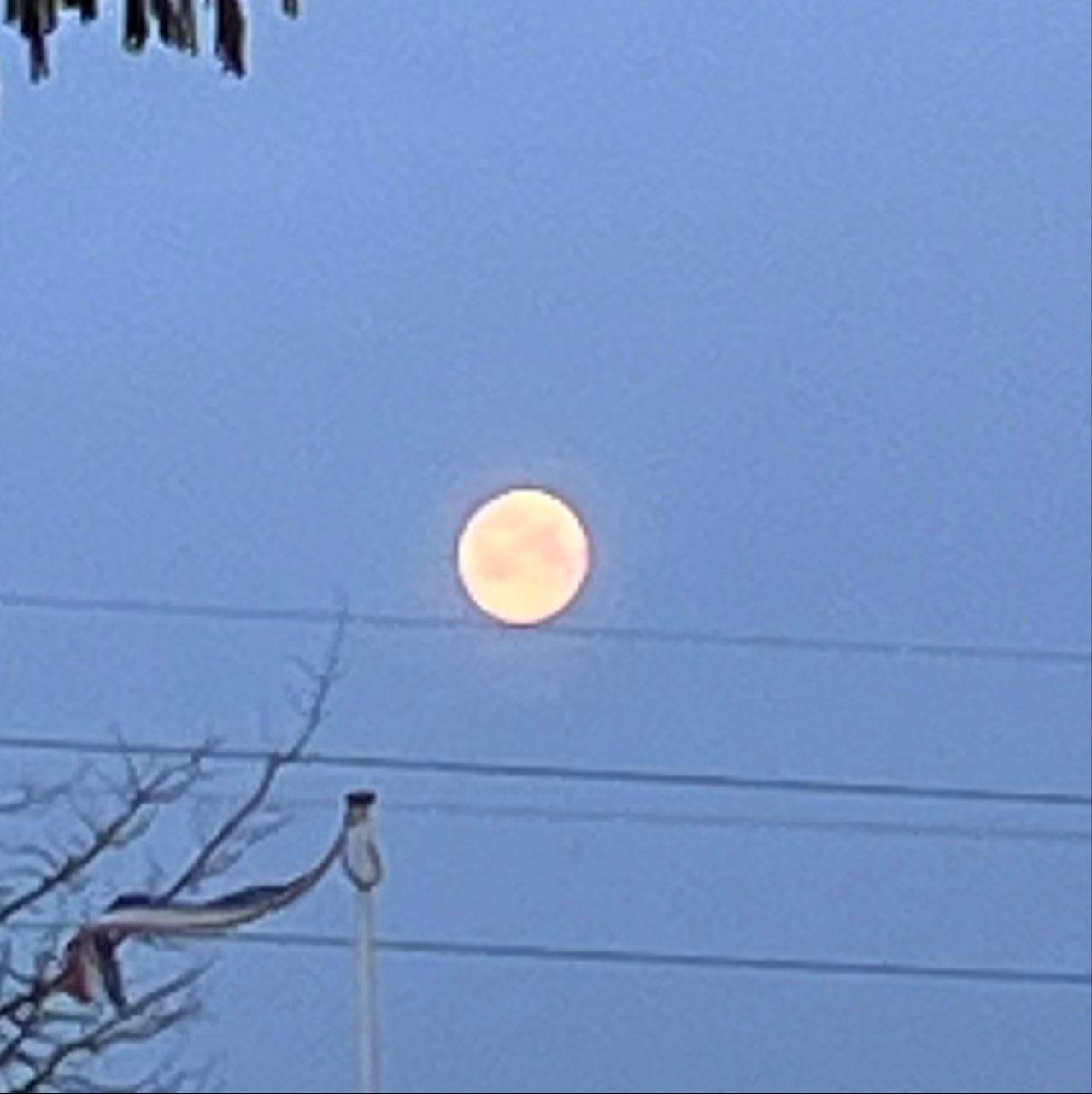 The Moon over Oegstgeest, Netherlands — waning gibbous, Lunar Day 17