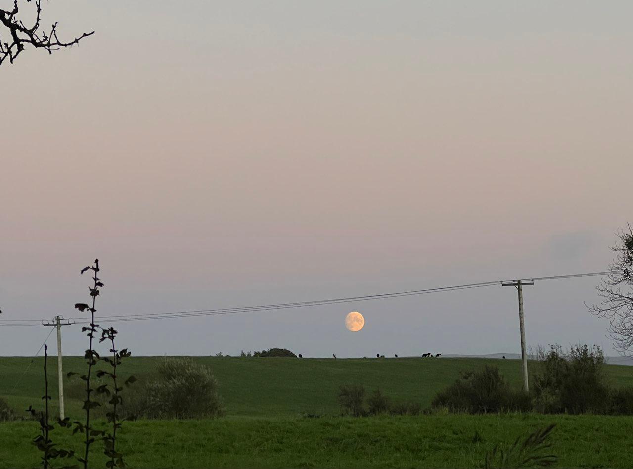 The Moon over Friesoythe, Germany — waxing gibbous, Lunar Day 13