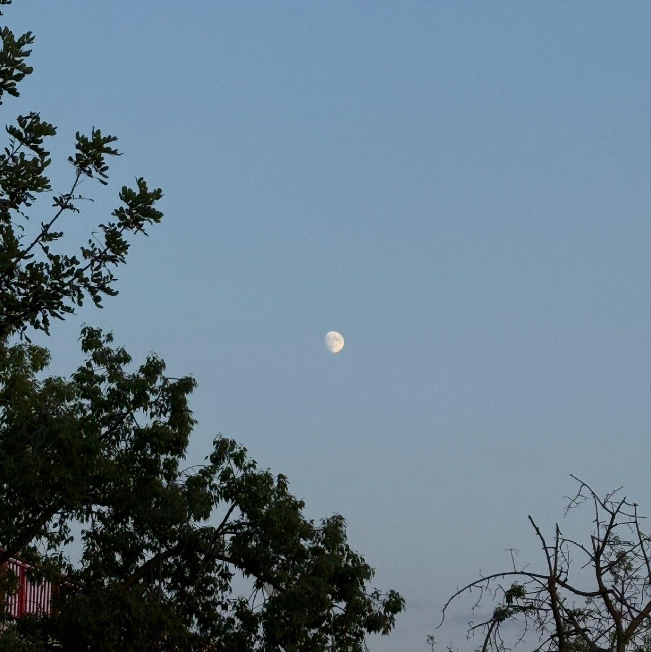 The Moon over Picanya, España — waxing gibbous, Lunar Day 13