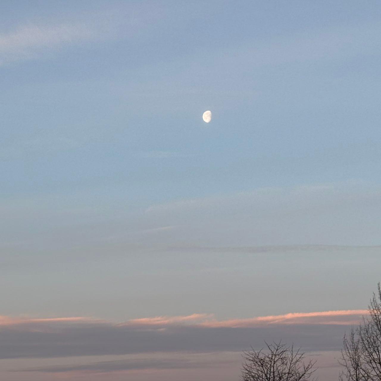 The Moon over Langley, Canada — waning gibbous, Lunar Day 19