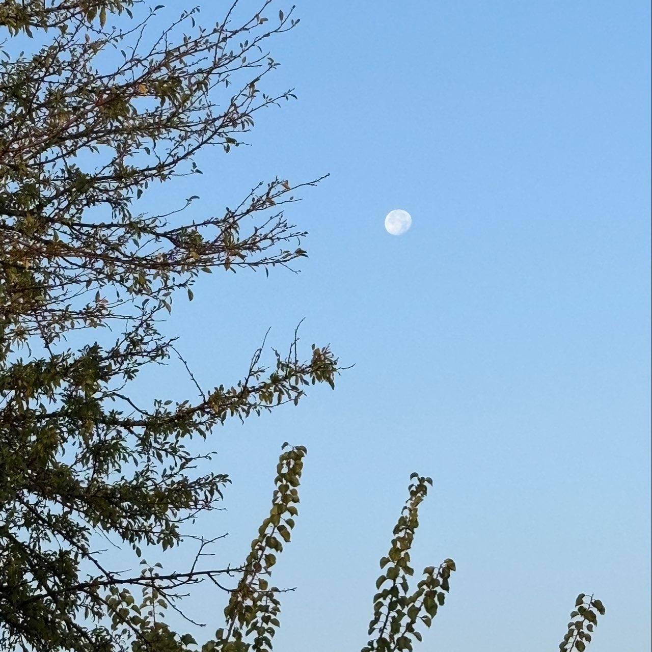 The Moon over Zaandam, Nederland — waning gibbous, Lunar Day 18