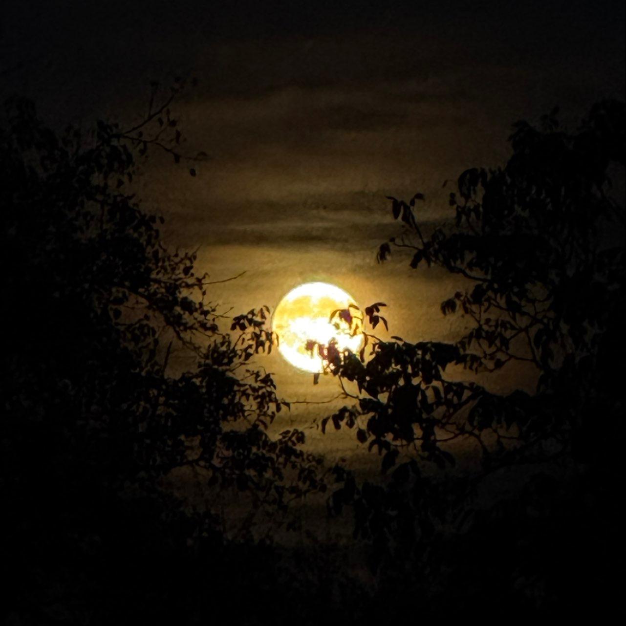 The Moon over Ubstadt-Weiher, Germany — full moon, Lunar Day 17