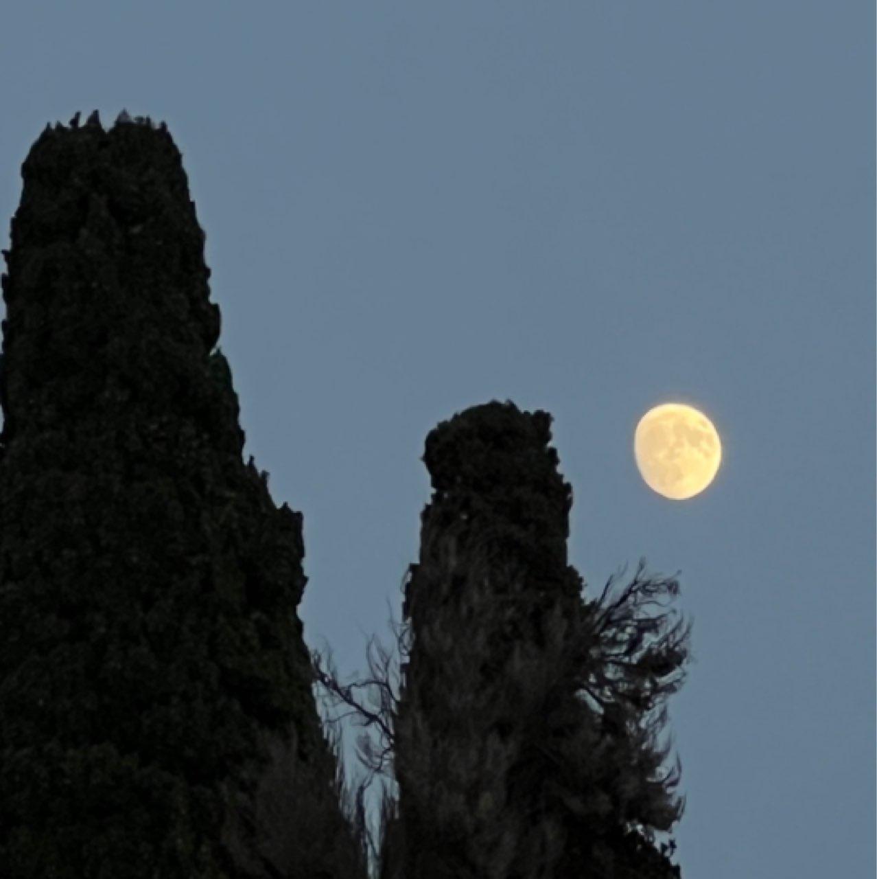 The Moon over Toulouse, Francia — waxing gibbous, Lunar Day 14