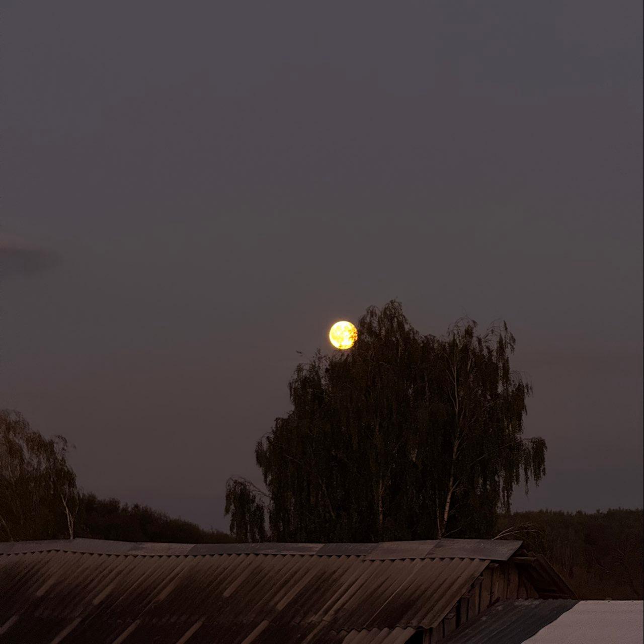 The Moon over Minsk, Belarus — waning gibbous, Lunar Day 20