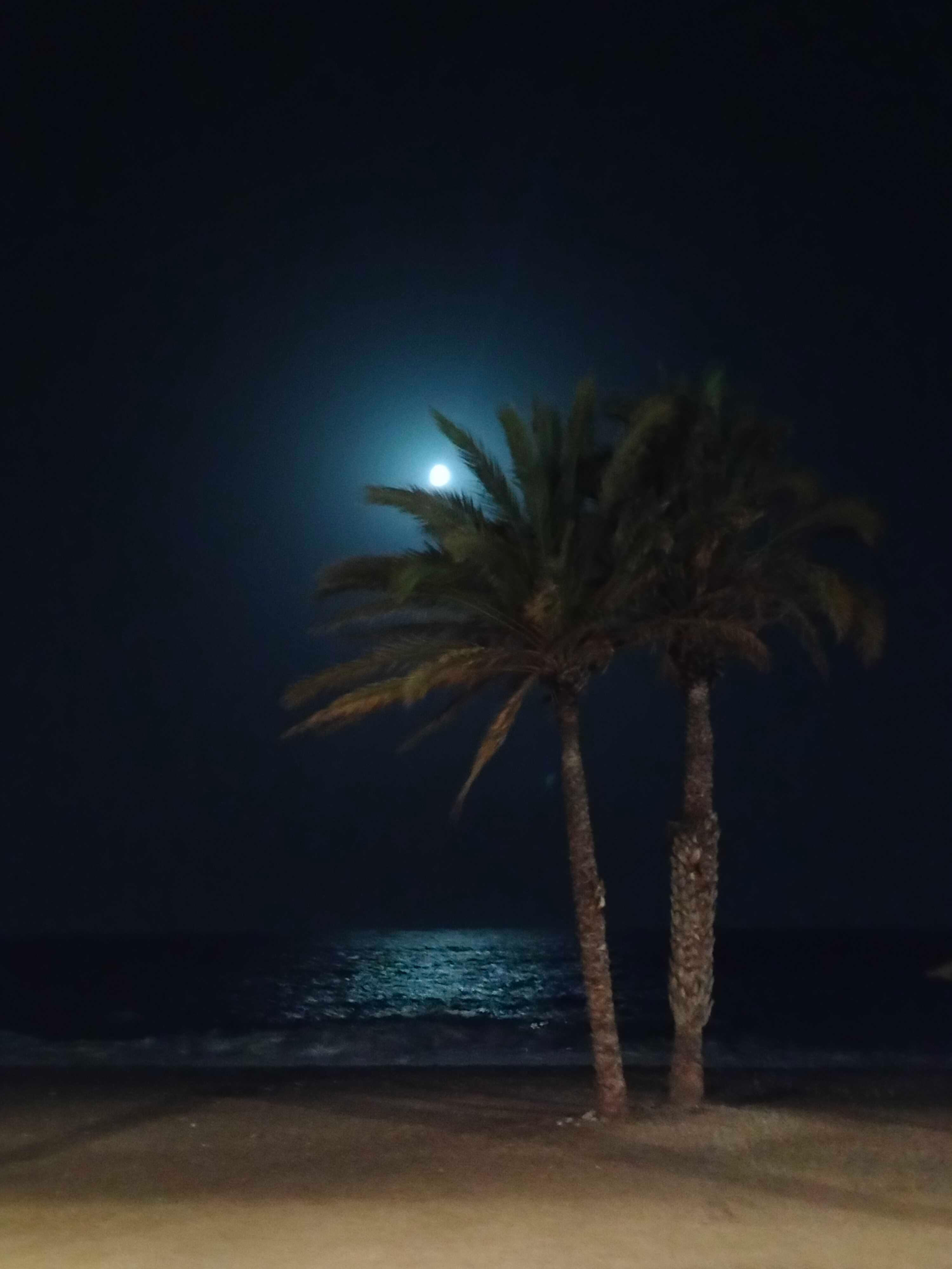The Moon over Almuñécar, España — waxing gibbous, Lunar Day 11