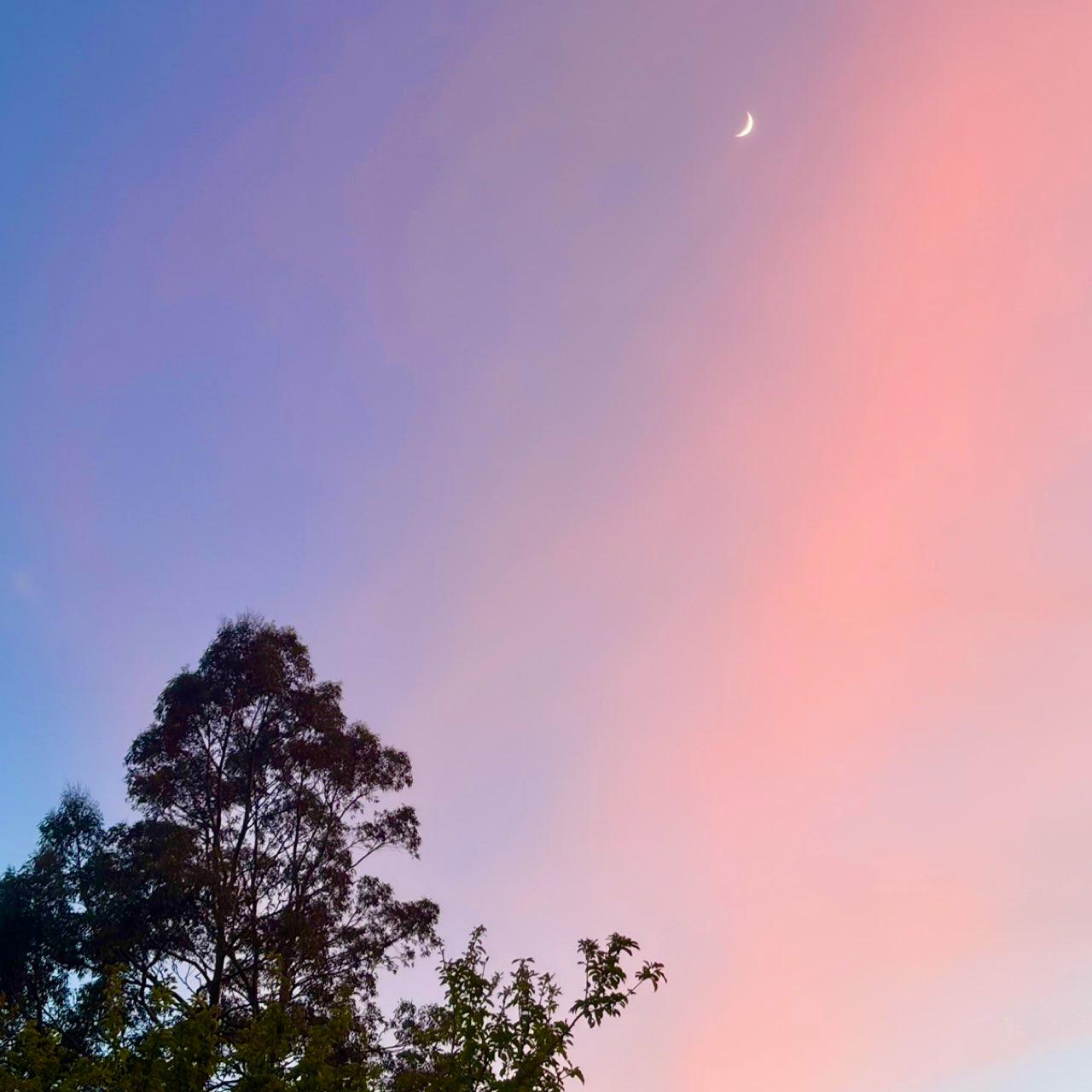 The Moon over Newcastle Upon Tyne, United Kingdom — waxing crescent, Lunar Day 5