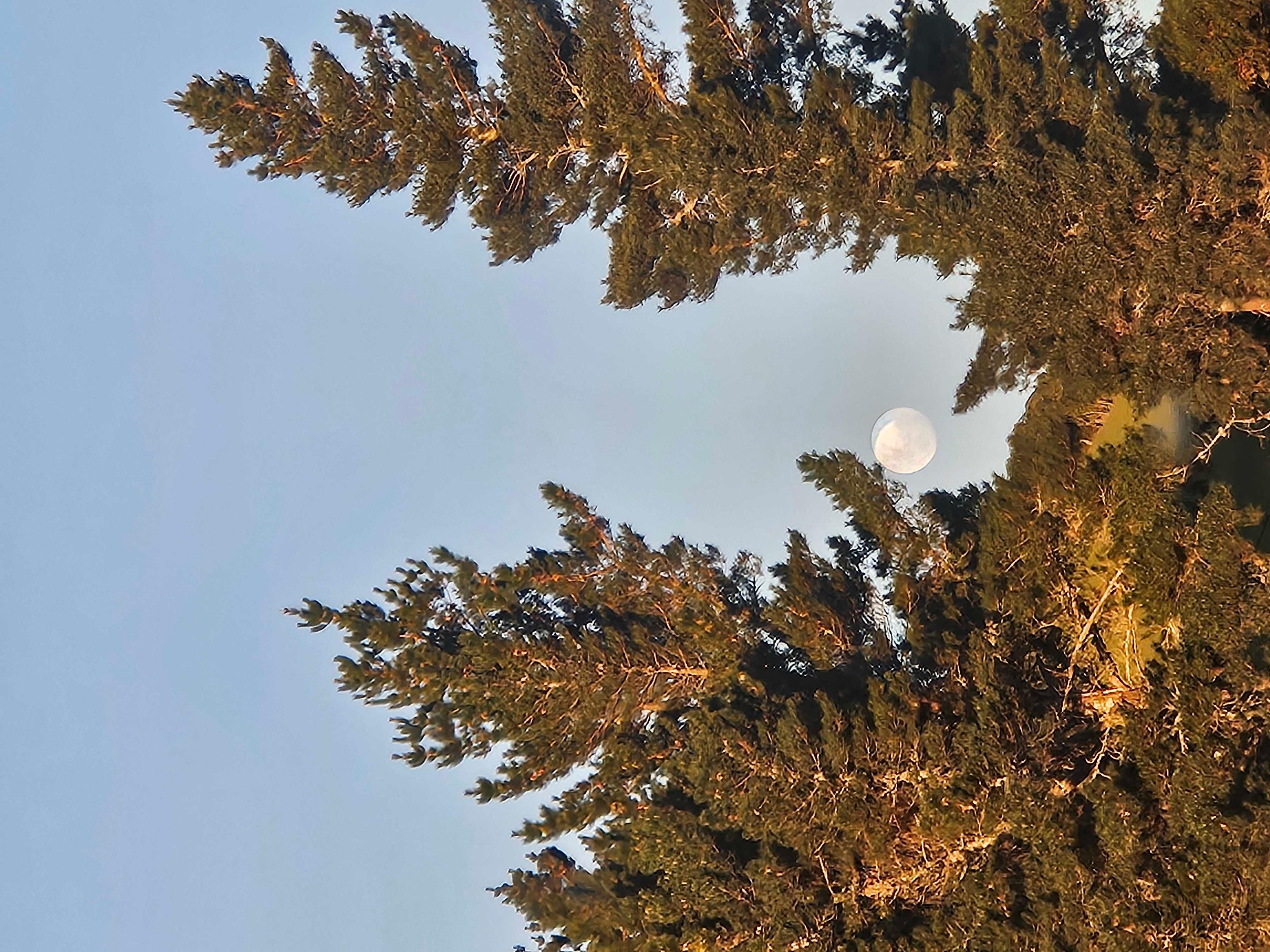 The Moon over Taupō, New Zealand — waning gibbous, Lunar Day 21