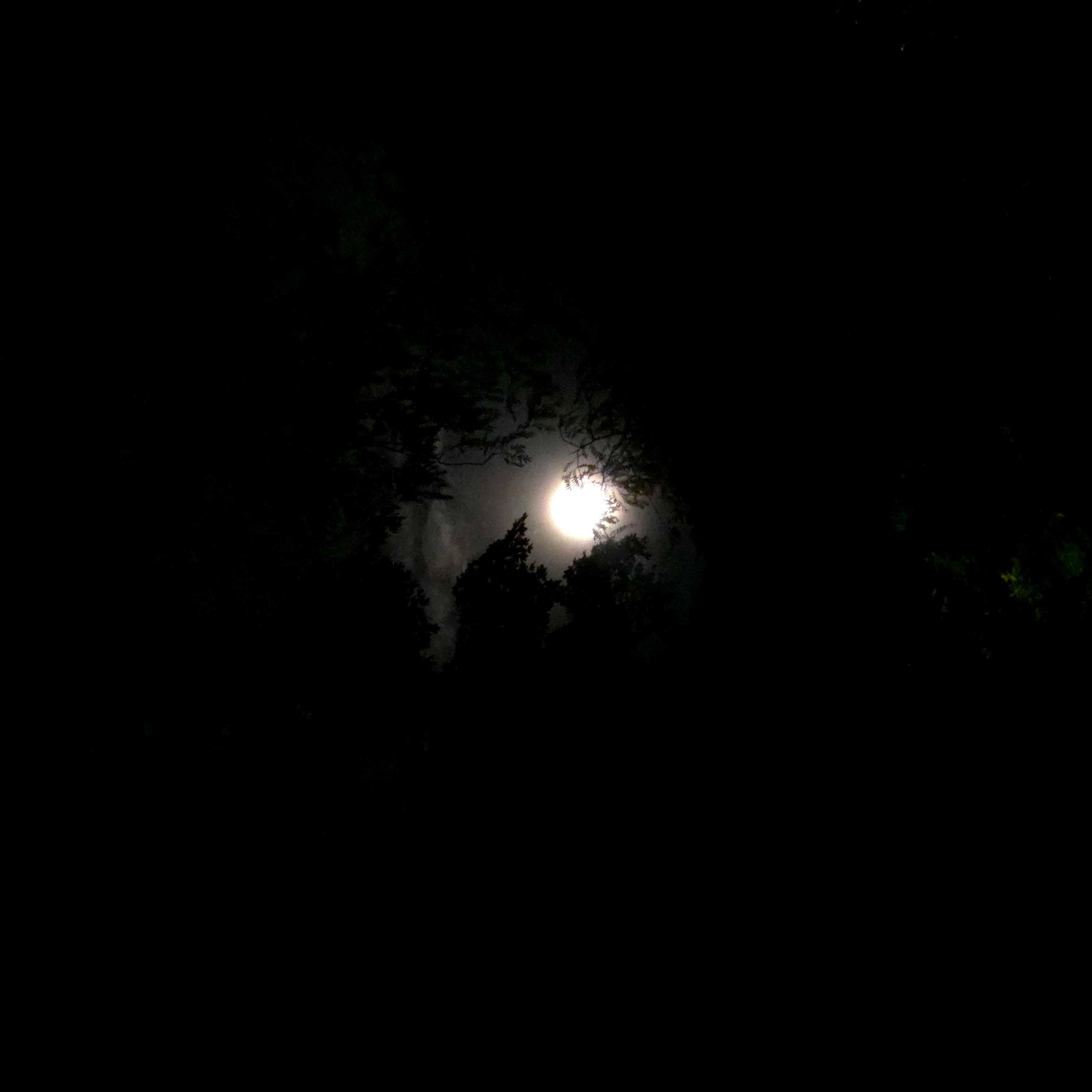 The Moon over Rochester, United States — full moon, Lunar Day 17
