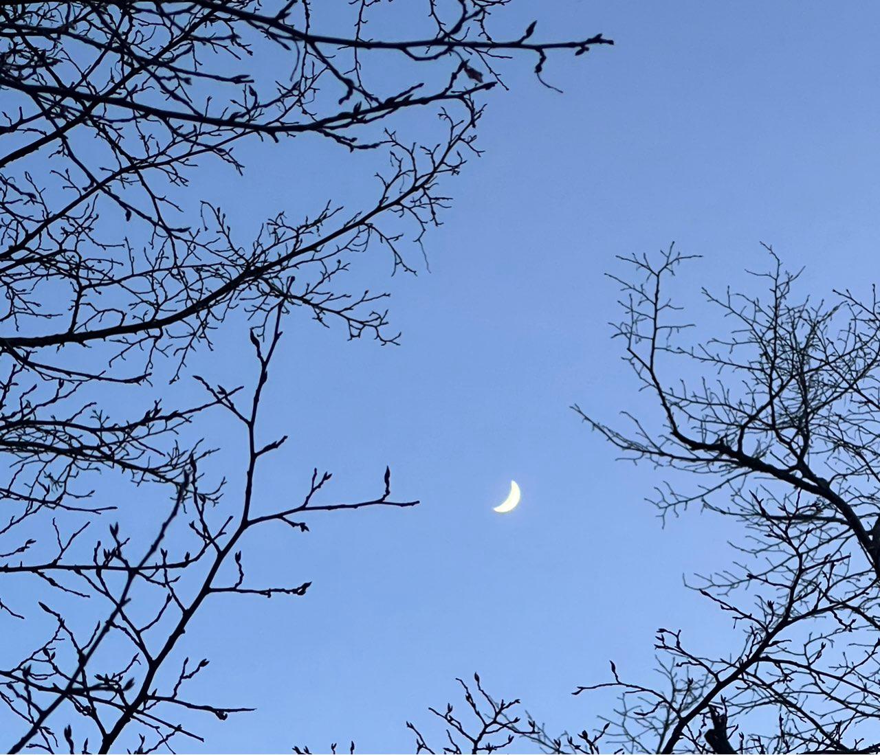 The Moon over Suresnes, France — waxing crescent, Lunar Day 5