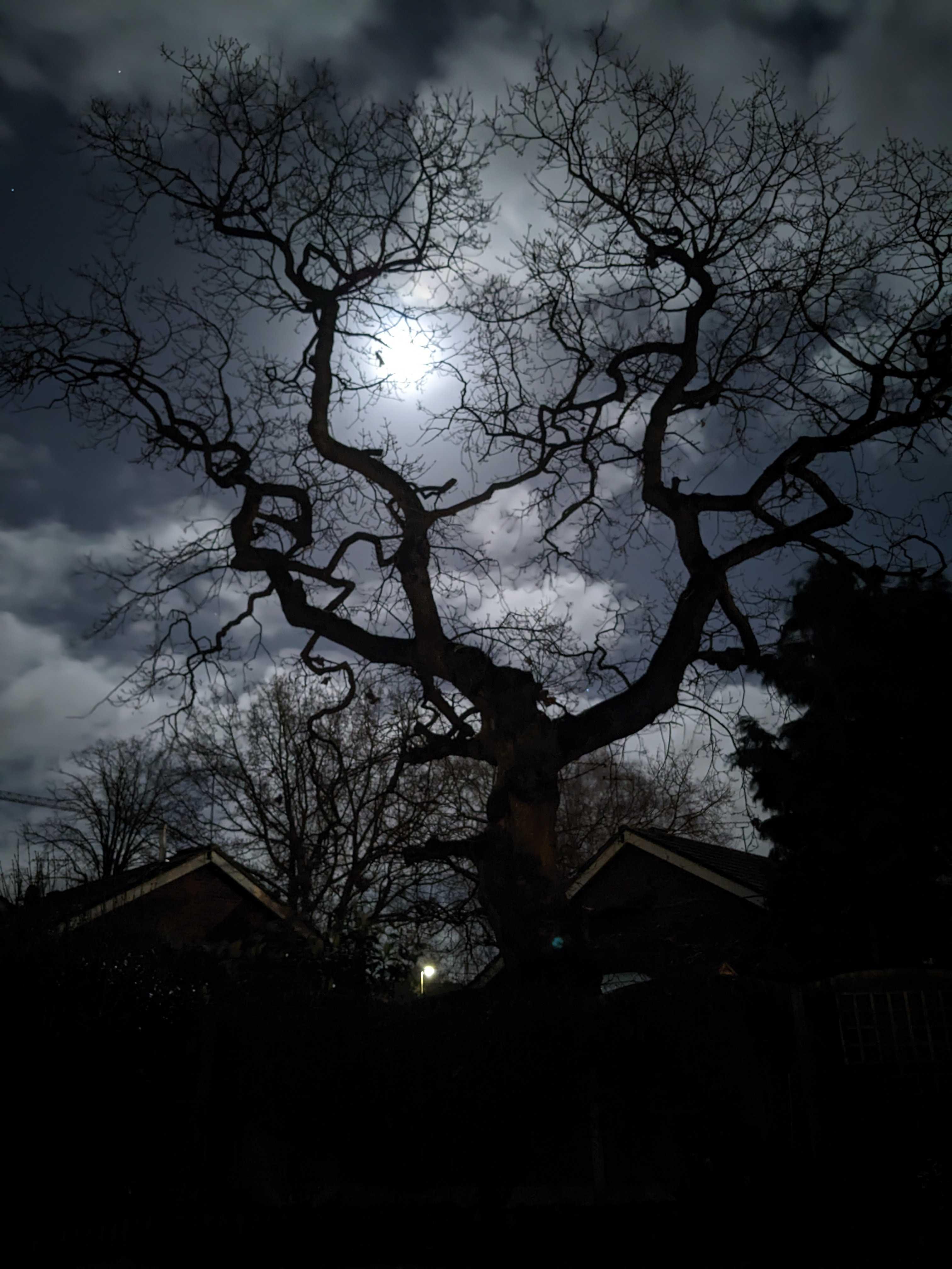 The Moon over United Kingdom — full moon, Lunar Day 15
