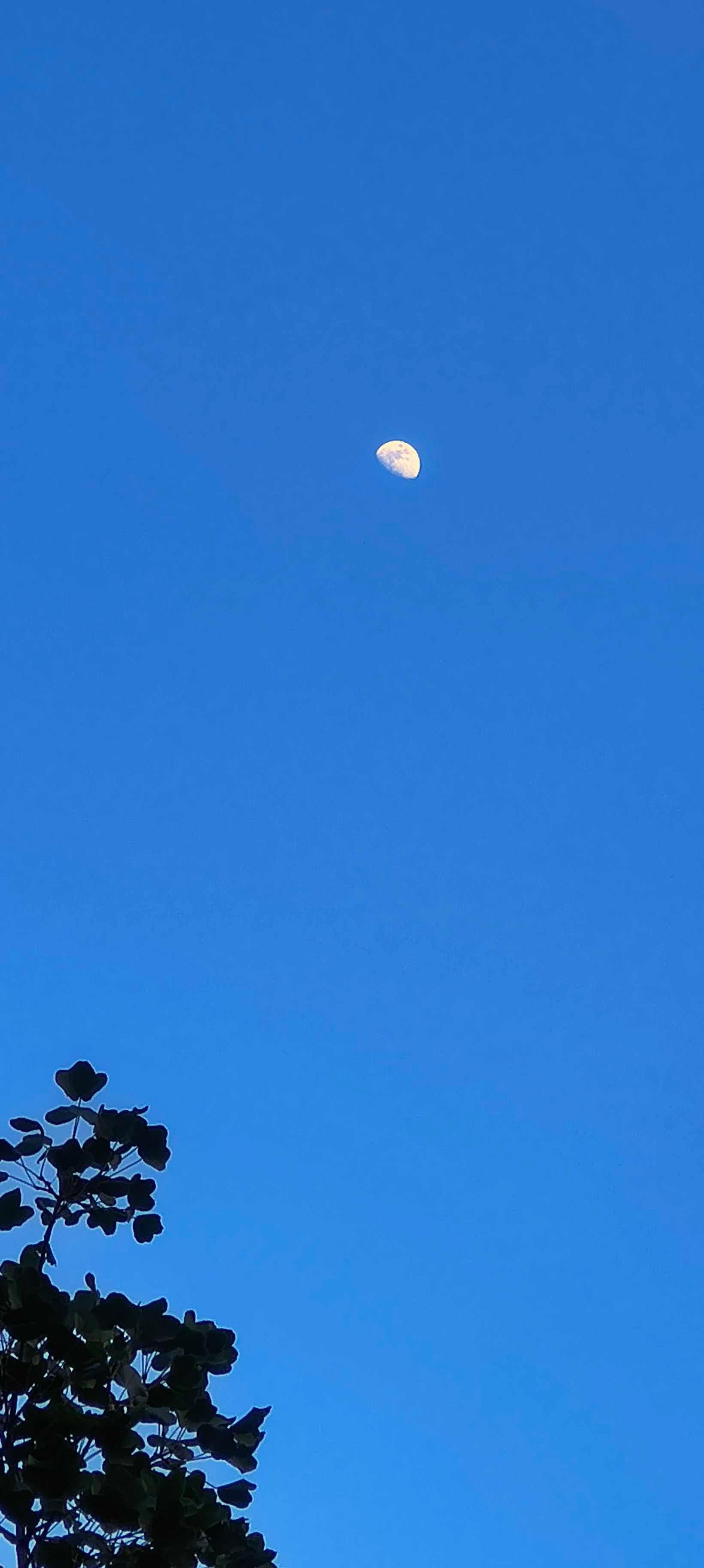 The Moon over Madrid, España — waxing gibbous, Lunar Day 11