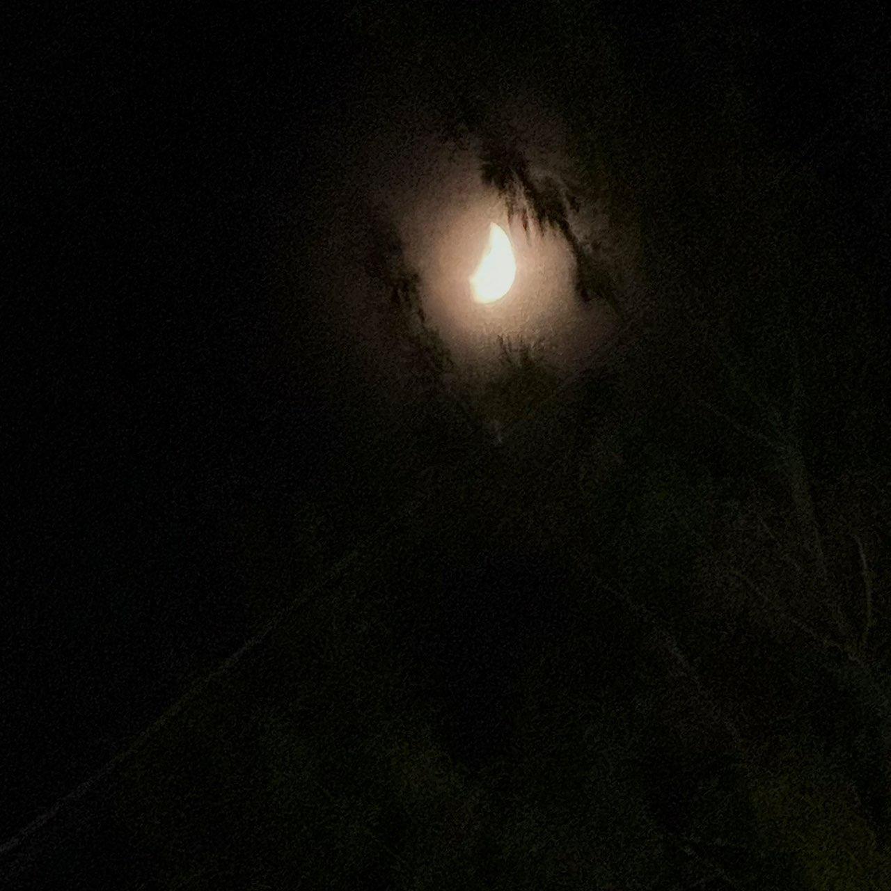 The Moon over Gatineau, Canada — first quarter, Lunar Day 7