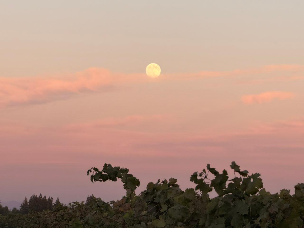 The Moon over Lodi, United States — full moon, Lunar Day 16