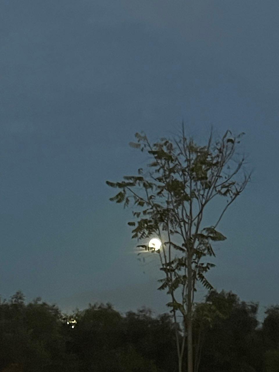 The Moon over Bari, Italy — full moon, Lunar Day 15