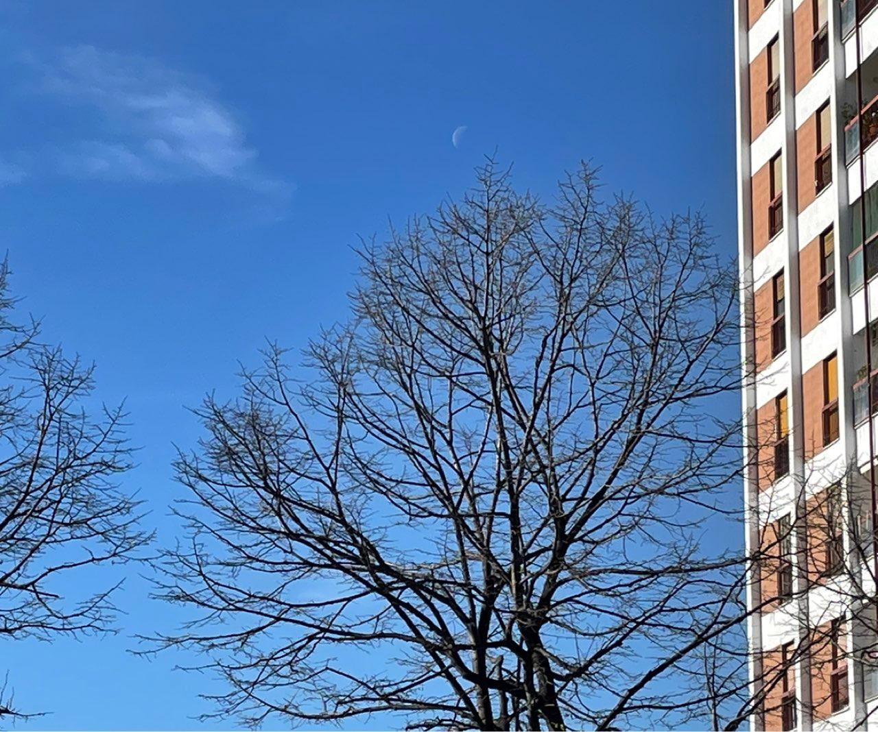 The Moon over Bari, Italia — last quarter, Lunar Day 24