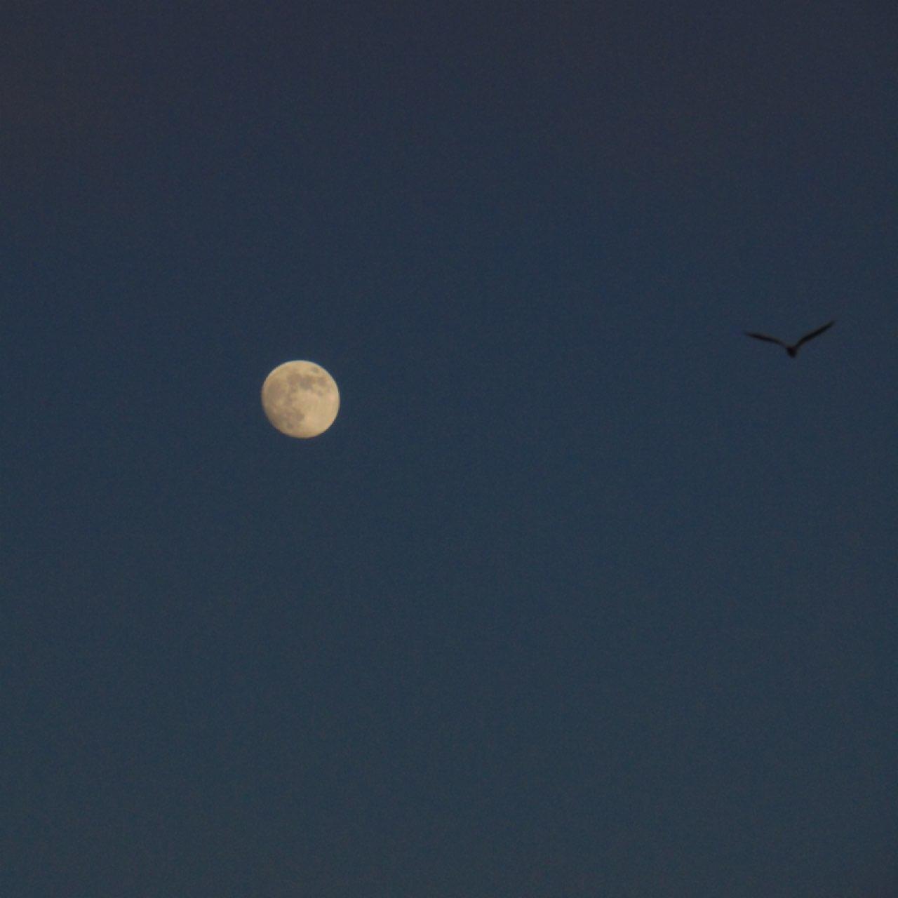 The Moon over Gozón, España — full moon, Lunar Day 15
