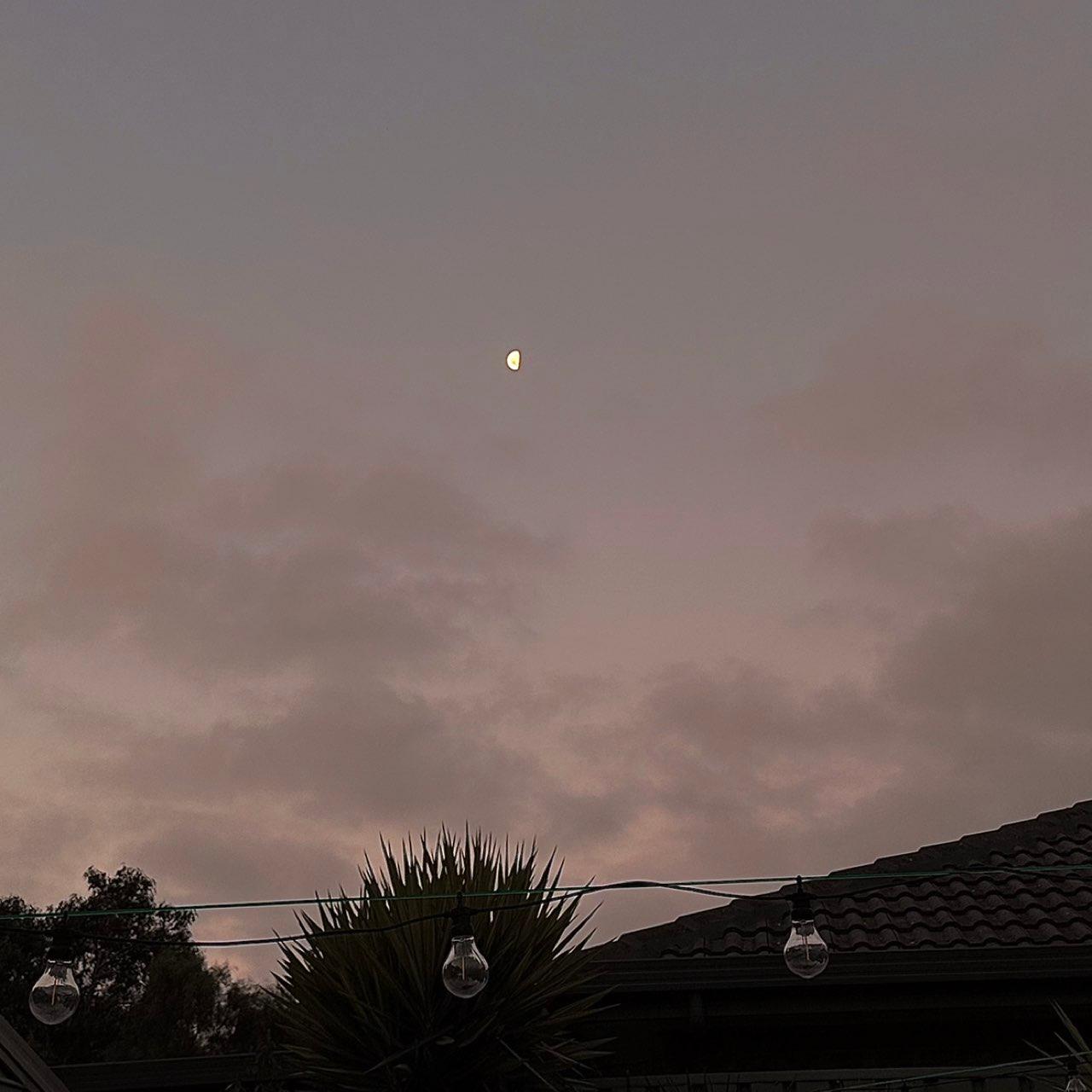 The Moon over Salisbury Heights, Australia — first quarter, Lunar Day 9