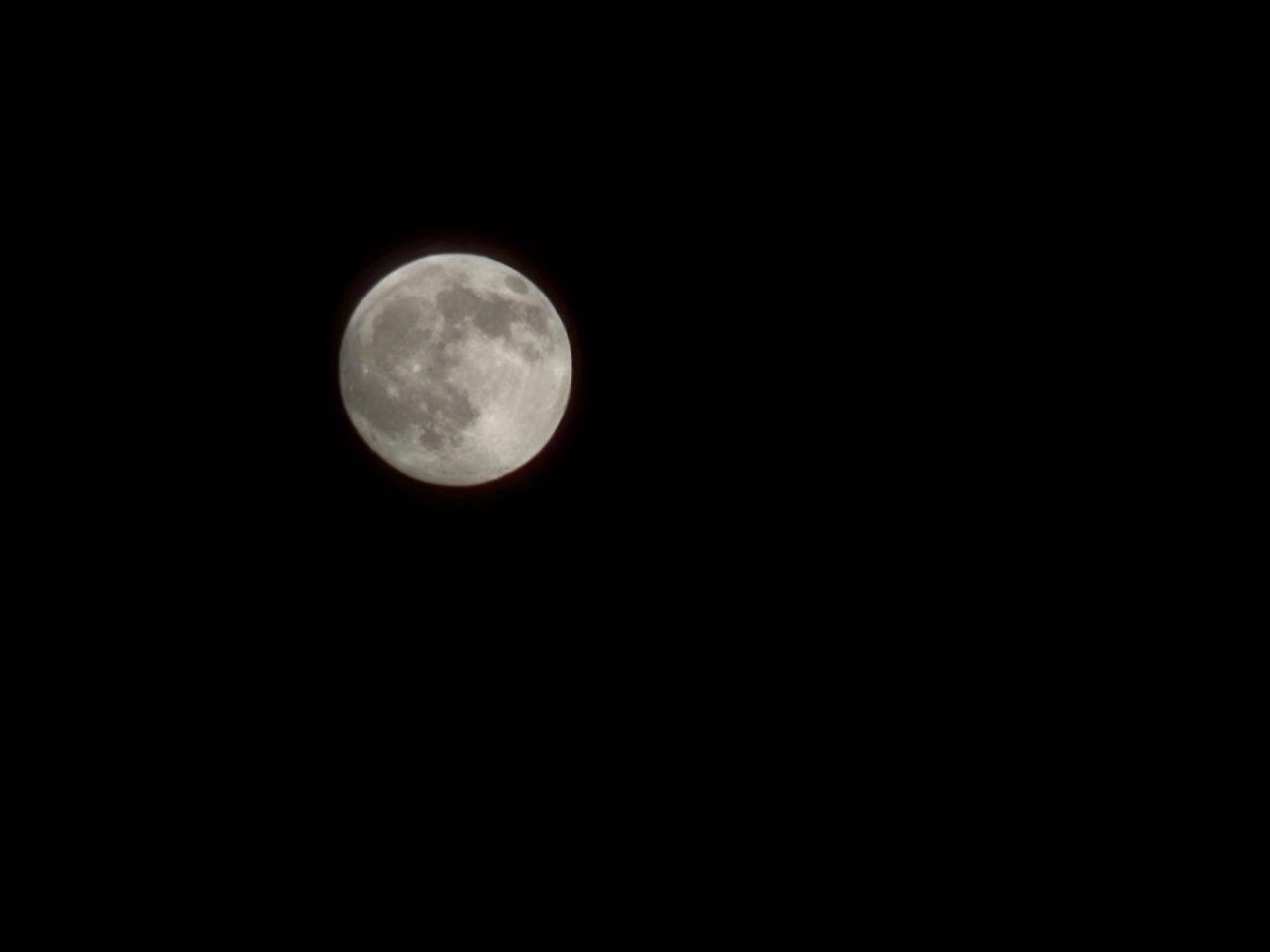 The Moon over Magnolia, United States — full moon, Lunar Day 16