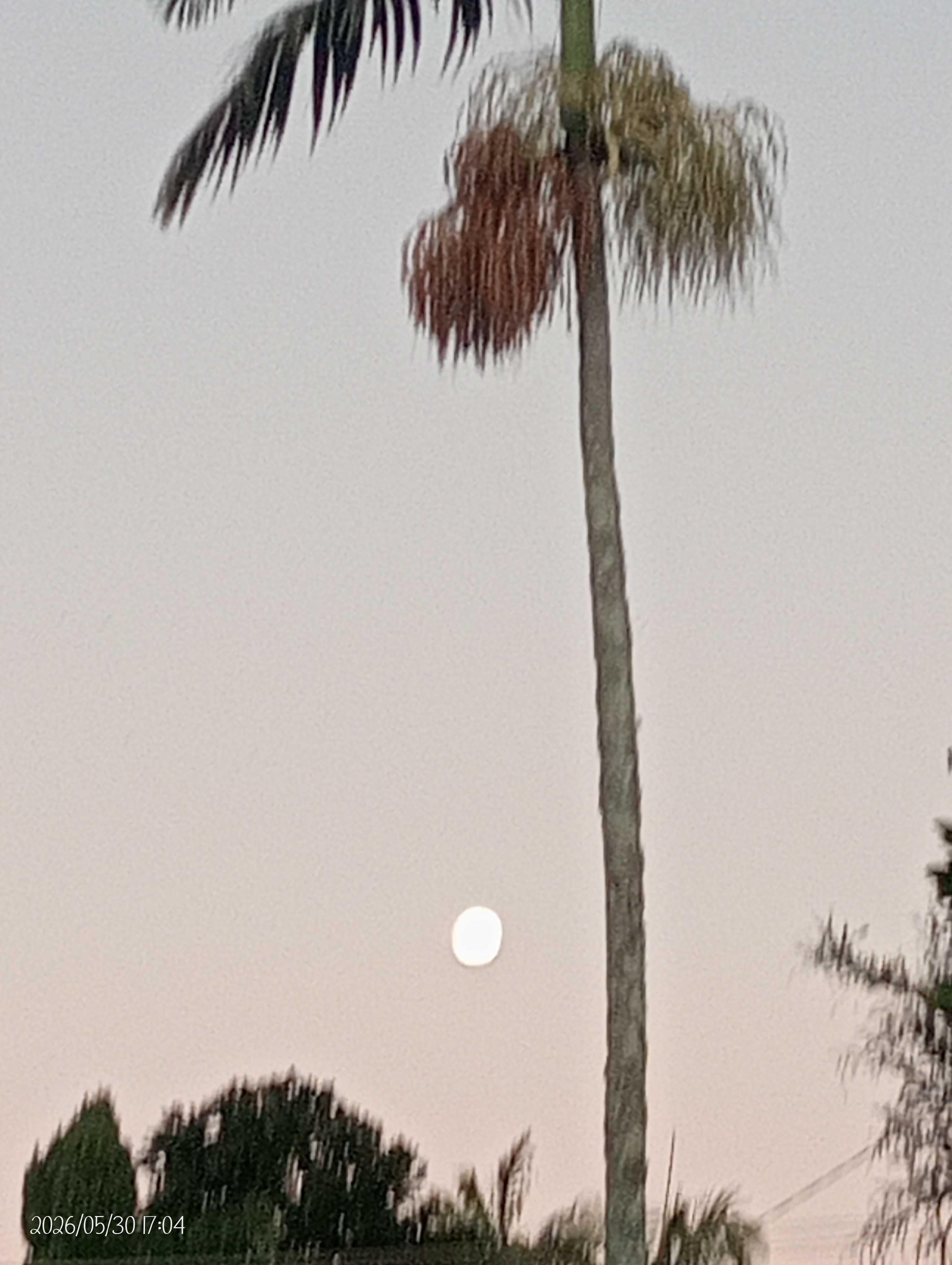The Moon over Varsity Lakes, Australia — full moon, Lunar Day 17