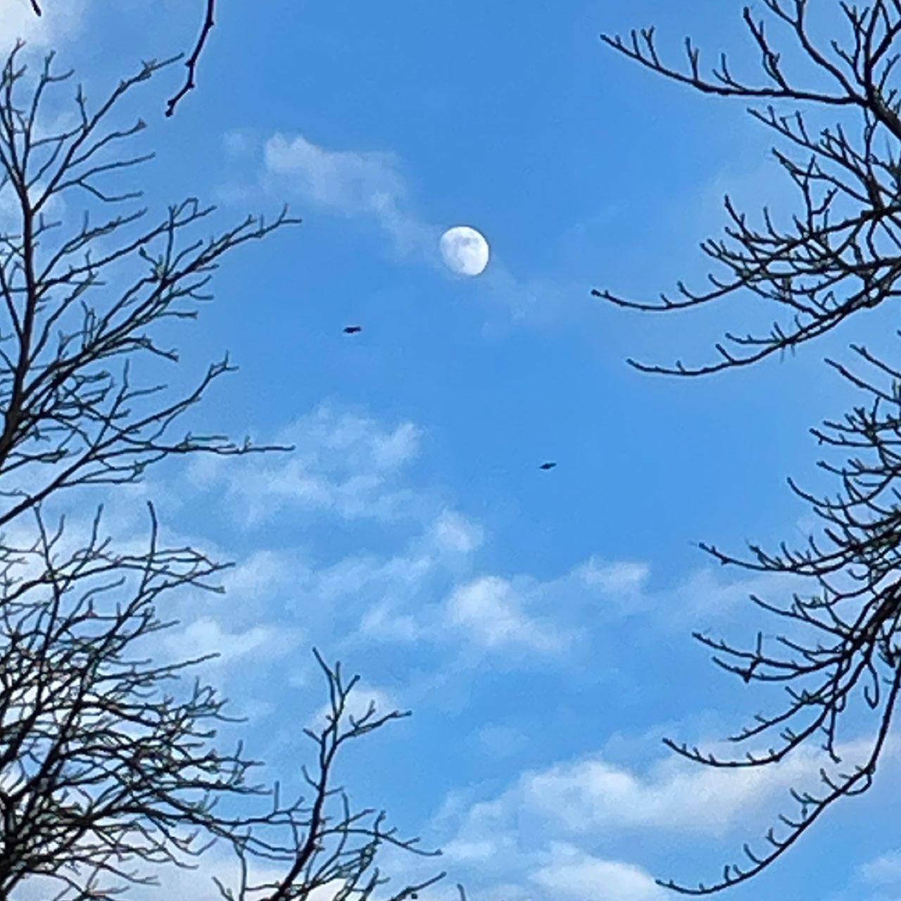 The Moon over Rubiera, Italia — waxing gibbous, Lunar Day 12