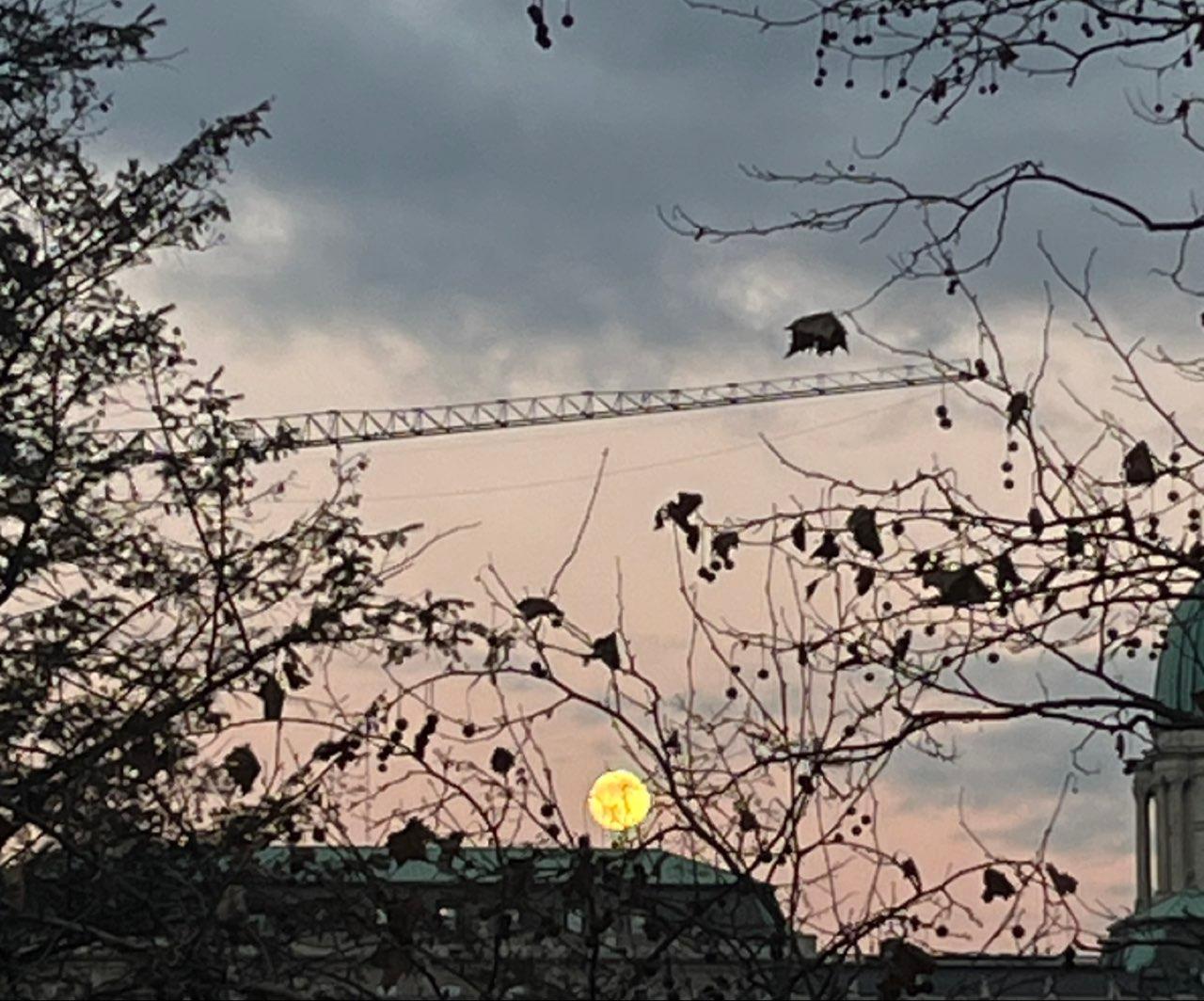 The Moon over Budapest, Hungary — full moon, Lunar Day 15