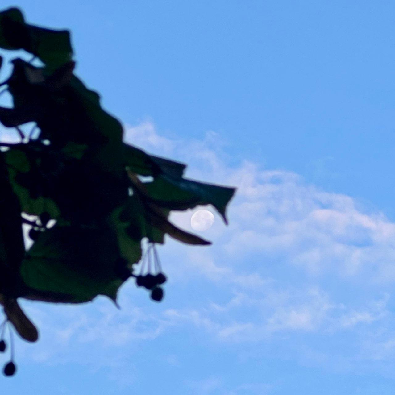 The Moon over Suresnes, France — waning gibbous, Lunar Day 19