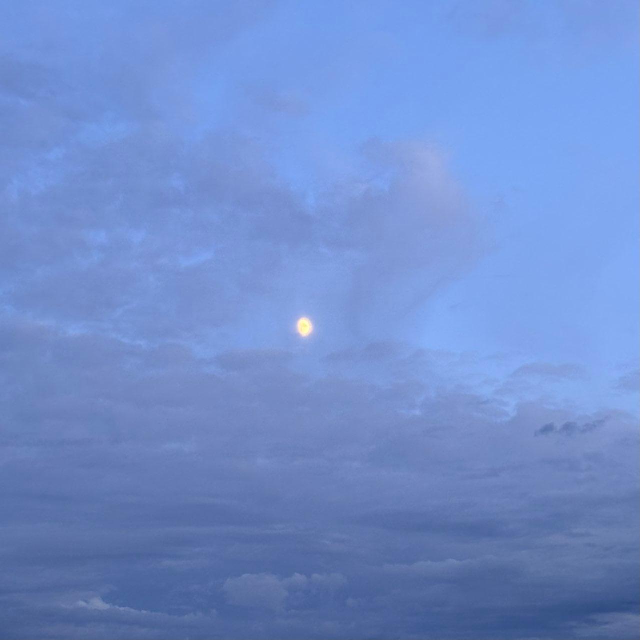 The Moon over Thimister-Clermont, Belgique — waxing gibbous, Lunar Day 11