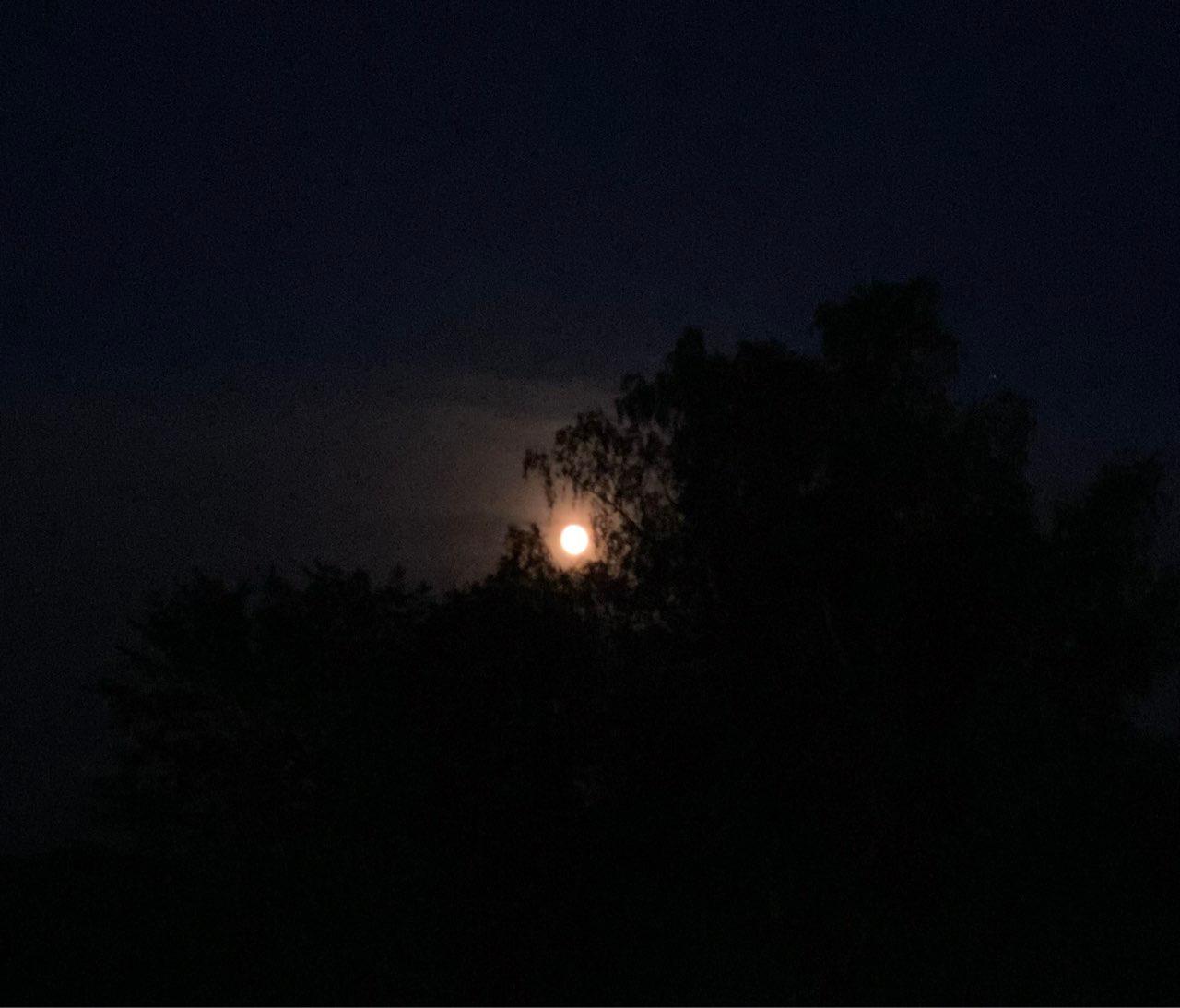 The Moon over Brenguļu pag., Latvia — waxing gibbous, Lunar Day 14