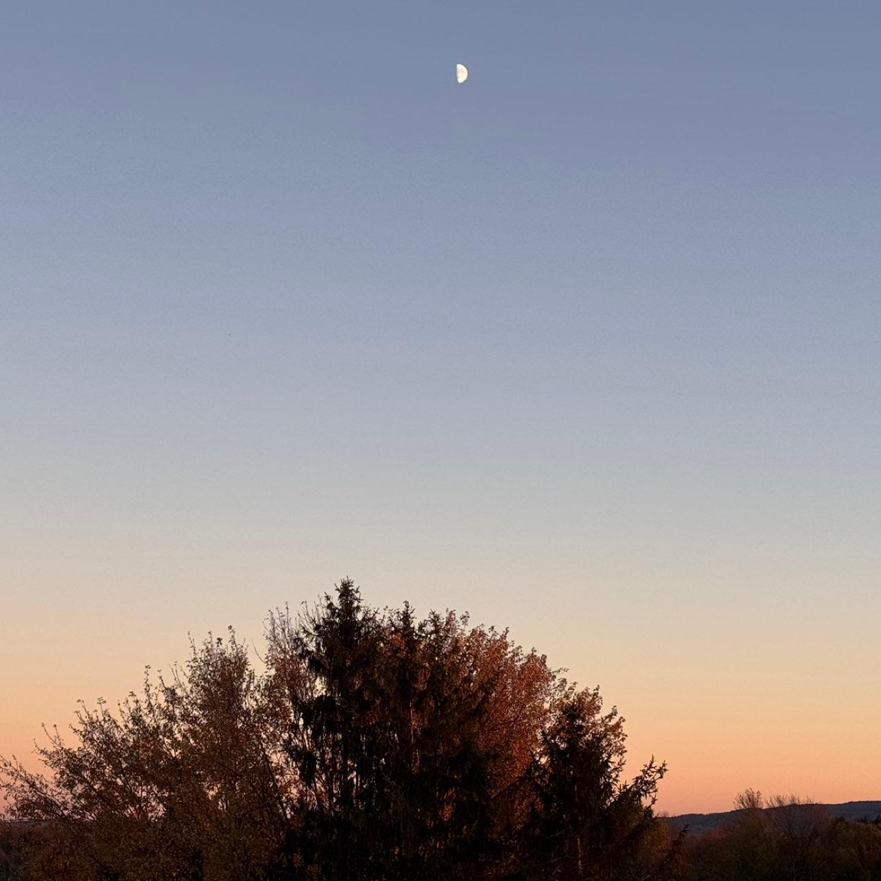 The Moon over Verona, United States — first quarter, Lunar Day 10