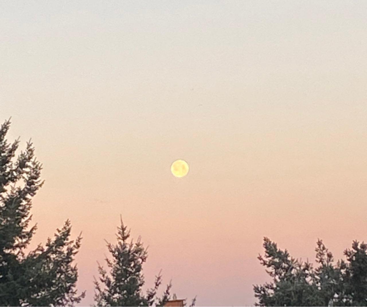 The Moon over Berlin, Deutschland — full moon, Lunar Day 15