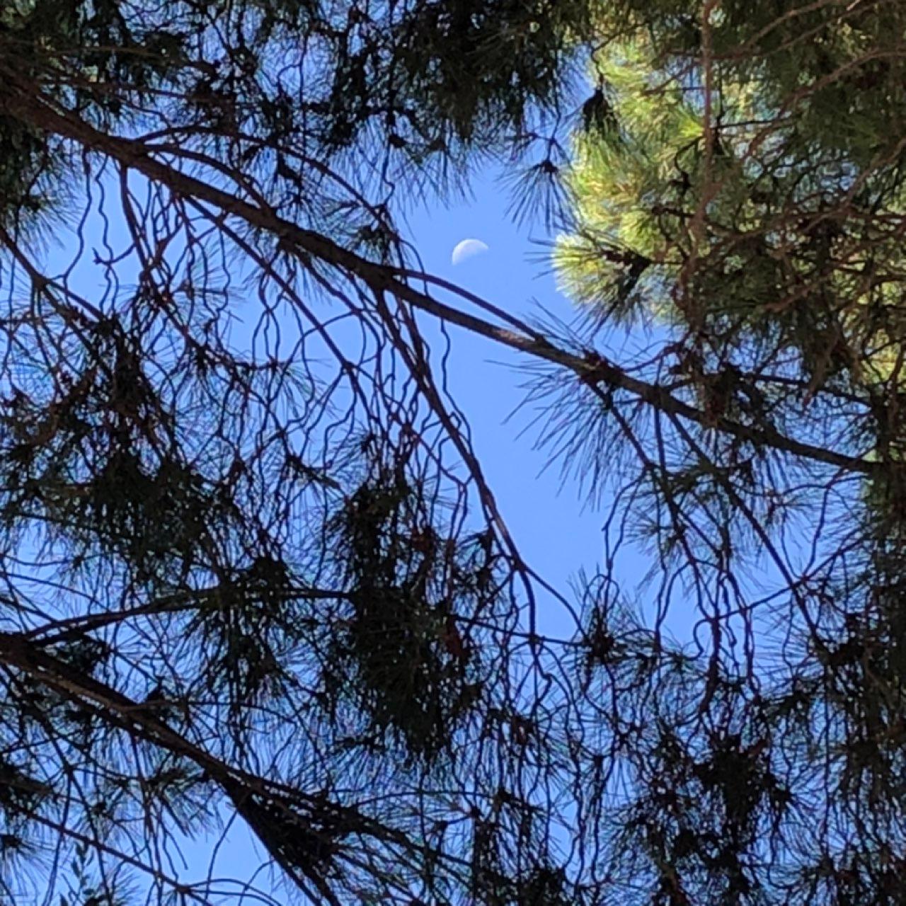 The Moon over Montpellier, France — last quarter, Lunar Day 23