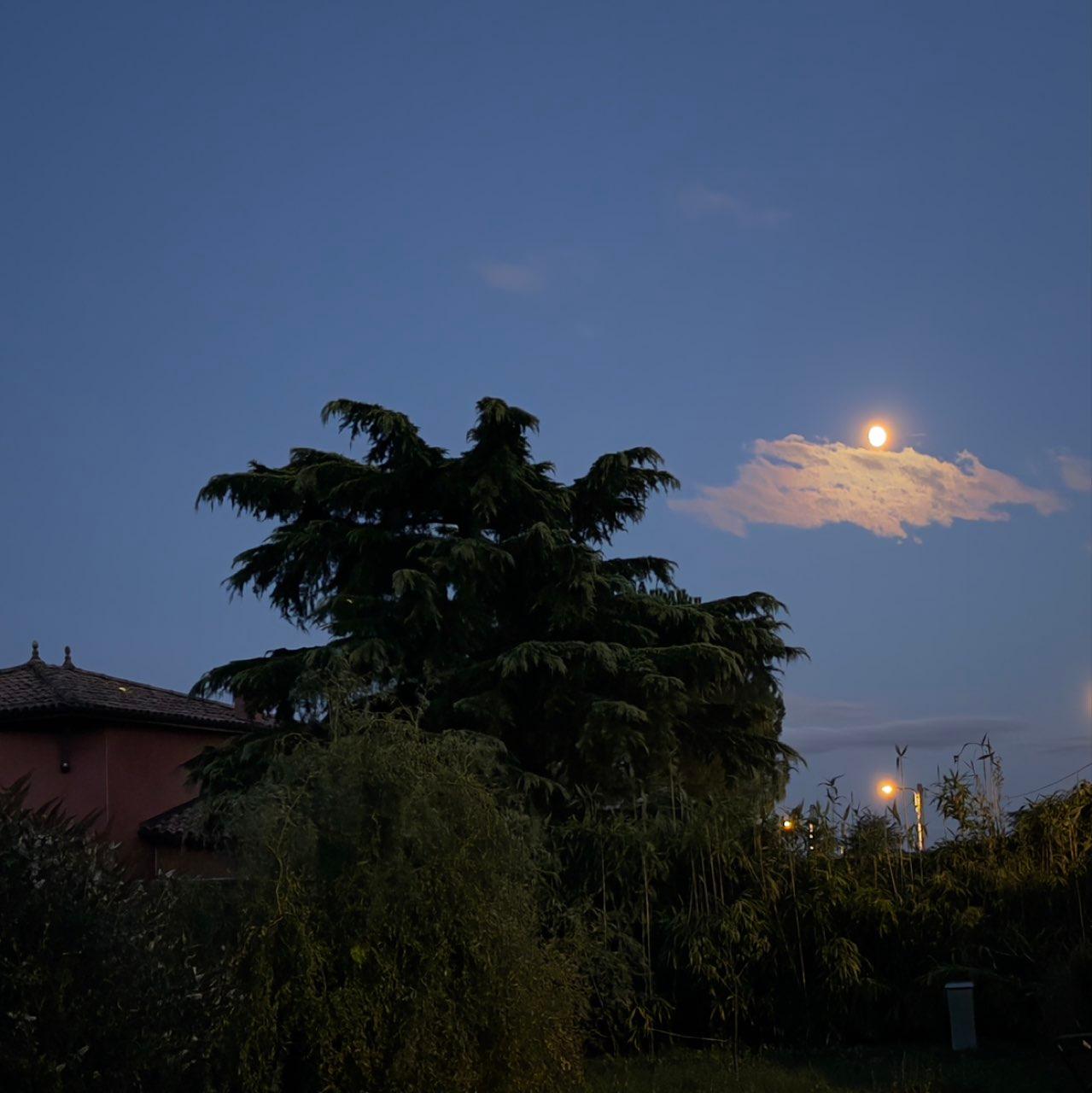 The Moon over Saint-Cyr-au-Mont-d'Or, France — waxing gibbous, Lunar Day 13