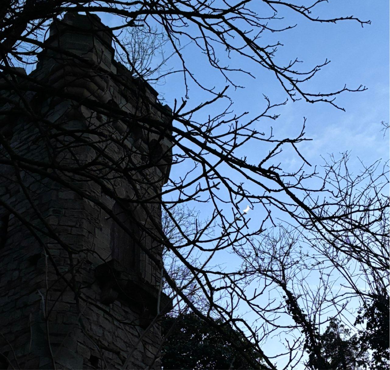 The Moon over Worms, Deutschland — waxing crescent, Lunar Day 5