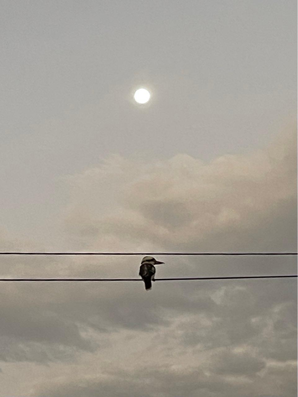 The Moon over Brisbane, Australia — full moon, Lunar Day 16