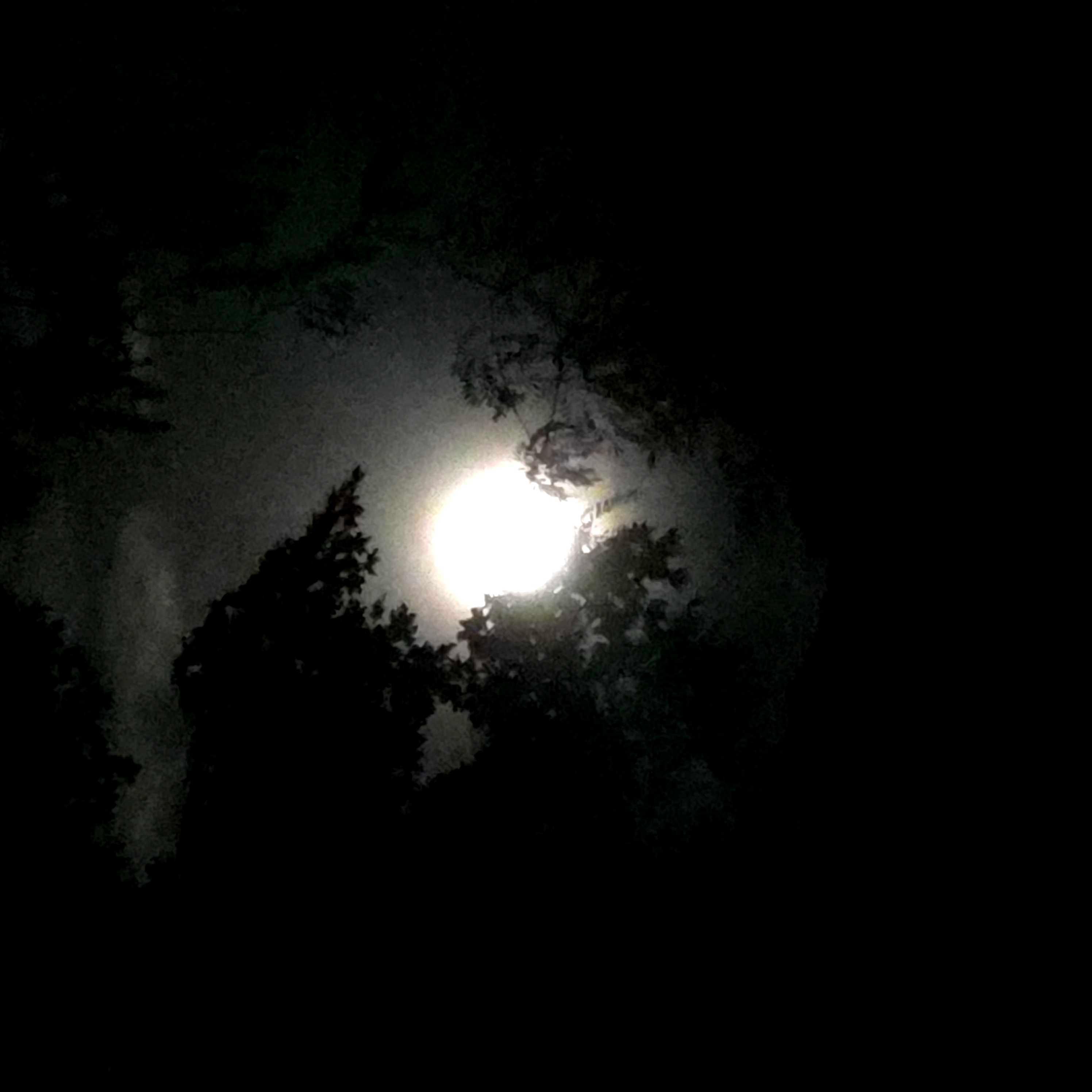 The Moon over Rochester, United States — full moon, Lunar Day 17