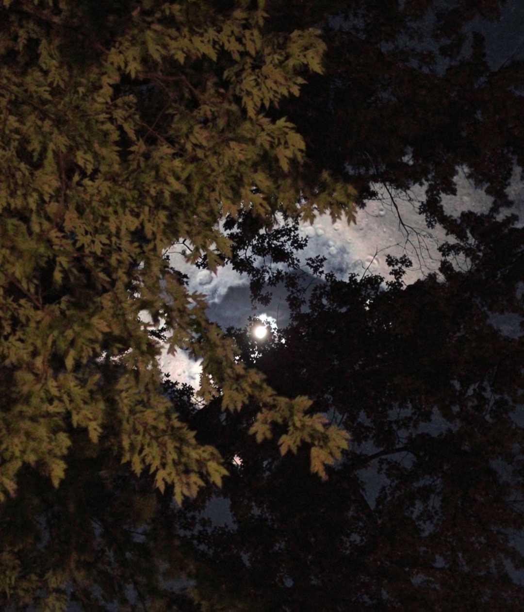 The Moon over Montello, United States — first quarter, Lunar Day 7