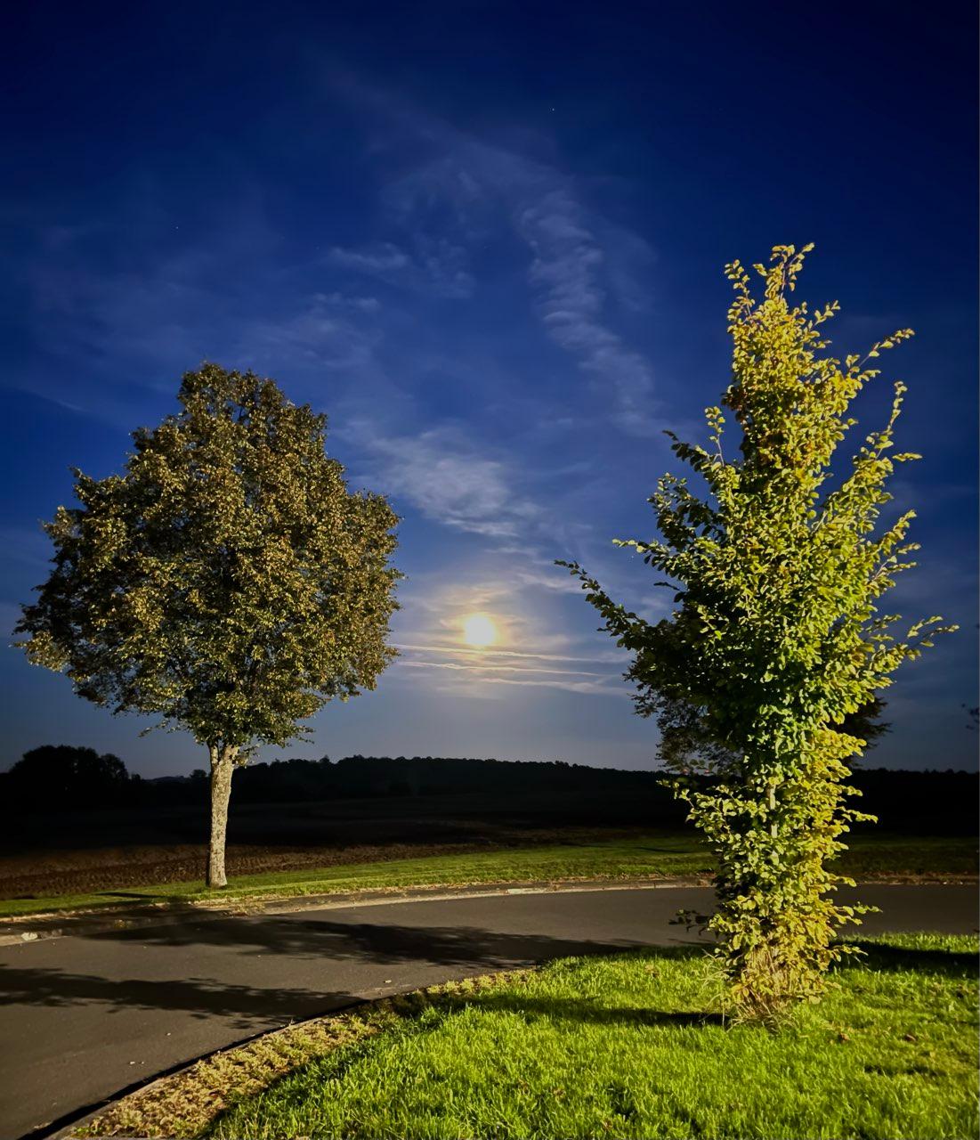 The Moon over Mücke, Deutschland — waxing gibbous, Lunar Day 14