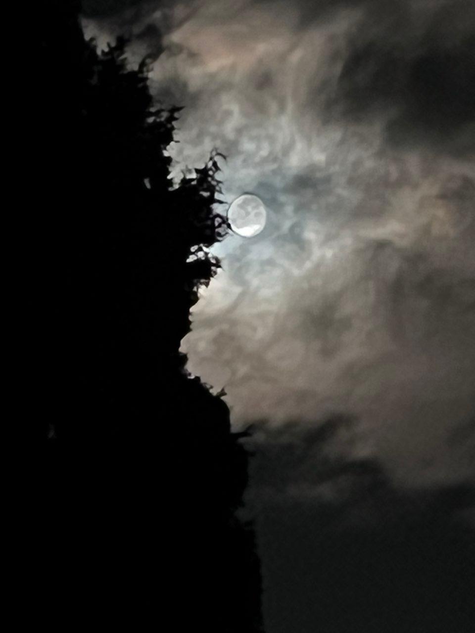 The Moon over Bielefeld, Deutschland — waning crescent, Lunar Day 26